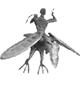 Bird Rider